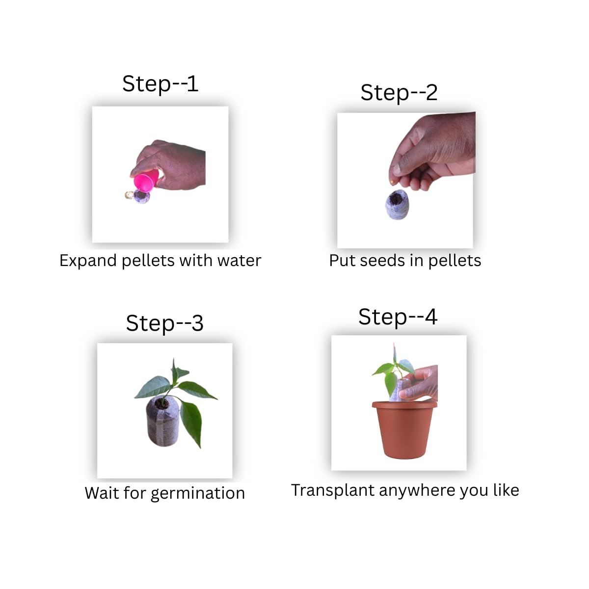 Cocopeat Seed Germination Kit | Coir Coin for Gardening Seedling | Kit for Strong Root Growth |Size 4cmx1cm | Coco Peat Disc for Plants | Netted |Round (Pack of 50) - Image 4