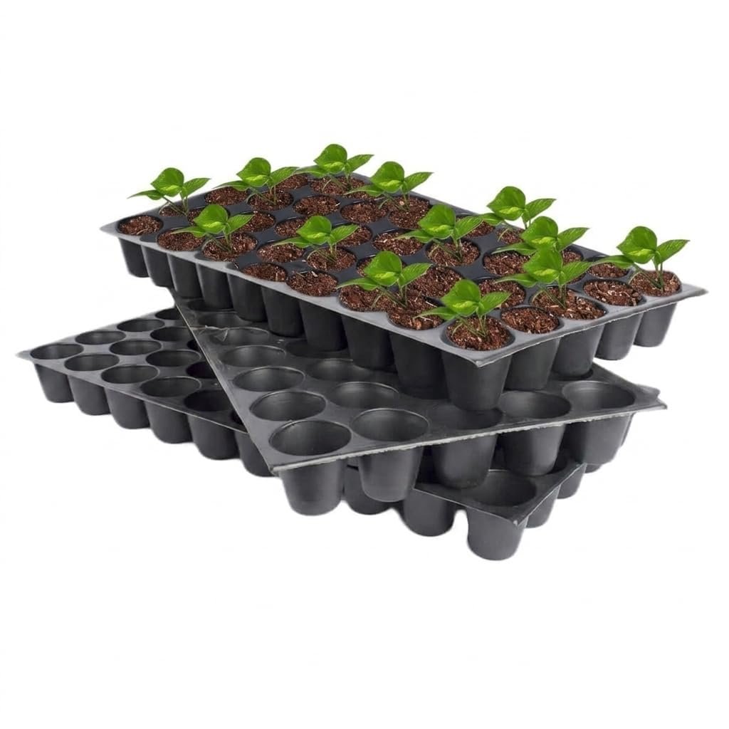 SJ Organics Seedling Tray for Seed Germination - Pack of 10 (50 Cells Each) | Reusable Plastic Nursery Tray for Indoor Gardening & Microgreens
