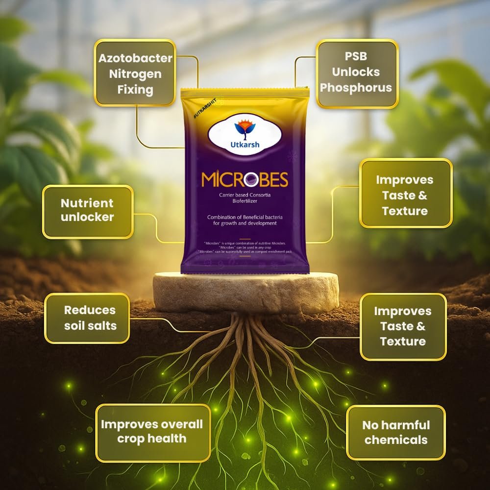 Utkarsh Microbes (Carrier Based Consortia Biofertilizer - Azotobacter, Acetobacter, Rhizobium, Phosphorus Solubilizing Bacteria PSB, Potassium Mobilizing Bacteria KMB) (900 gm; Pack of 1) - Image 5