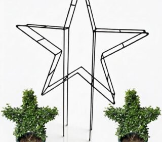 Om Sai Fabrication Heavy-Duty GI Wire Star Shape Topiary Frame | Garden Trellis for Climbing Plants | Star Shape Topiary Plant Stand | Gamla Stand