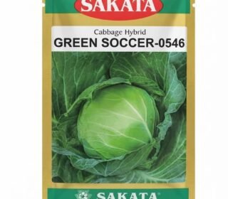 Sakata Green Soccer-0546 Cabbage Hybrid Seeds 10g