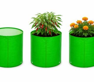 Premium Hdpe Uv Protected Round Shaped Green Colour Plants Grow Bags Suitable for Terrace and Vegetable Gardening 10x10 Inch Pack of 3
