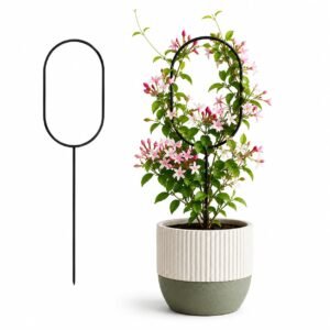 Plant Support Stakes| Trellis | Strong and Healthy Plant and Bonsai | Office Desk| Decorative Baloon Trellis Stake for Pots Plants | Rustproof Black Iron Garden Stand16 Inch (4, Black)