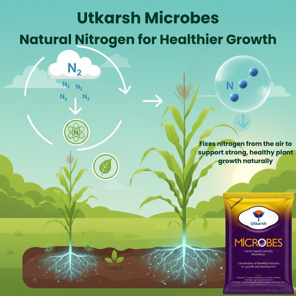 Utkarsh Microbes (Carrier Based Consortia Biofertilizer - Azotobacter, Acetobacter, Rhizobium, Phosphorus Solubilizing Bacteria PSB, Potassium Mobilizing Bacteria KMB) (900 gm; Pack of 1) - Image 2