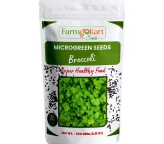 BROCCOLI MICROGREEN SEEDS | 100 Gms |- Non-GMO, Heirloom Seeds for Growing Microgreens in Soil, Coconut Coir, Aerogarden & Hydroponic