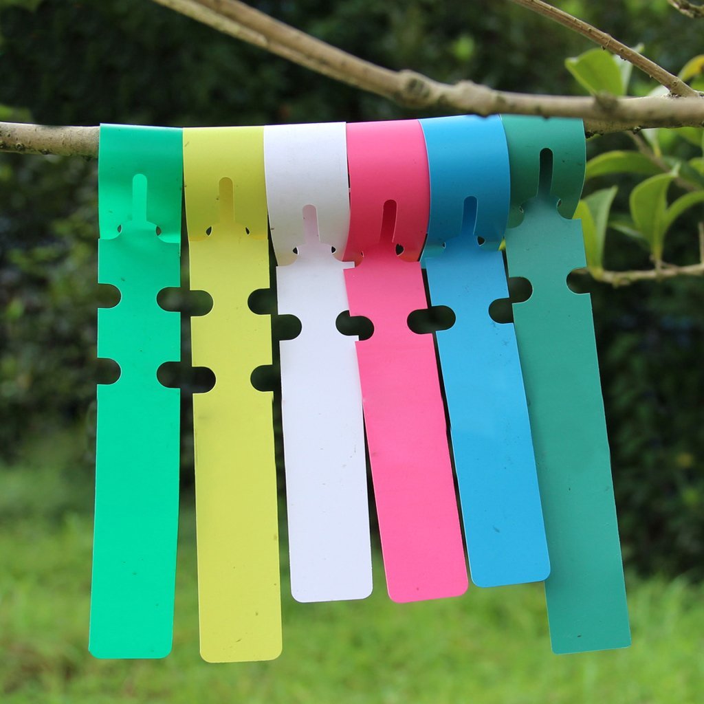 Generic 100pcs PVC Greenhouse Gardening Plant Stake Hanging Collar Tag Label Yellow - Image 3