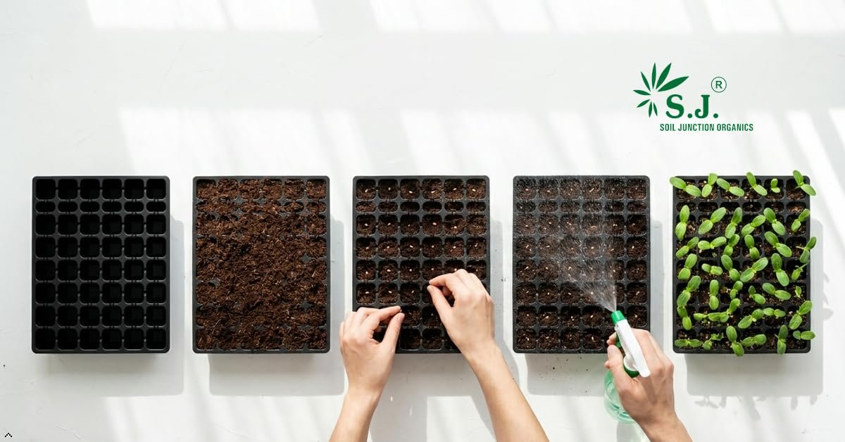 SJ Organics Seed Starter Tray - Pack of 10 (48 Cells Each) | Heavy Duty Germination Tray for Vegetables, Flowers & Hydroponic Gardening - Image 5