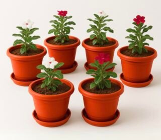 10 Inch Pack of 6 Flower Pots for Garden with Bottom Plate & Drainage Hole,Plastic Pot for Plants,Indoor & Outdoor- Planters for Balcony,UV Treated Gamla for Plants,Round Plant Pot,Red