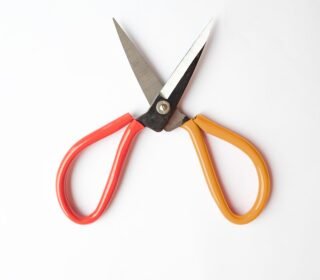 Straight Blade Cutter- D Handle (Garden Scissors) | Garden Plants Leaf & Flower Cutting Trimming Scissor