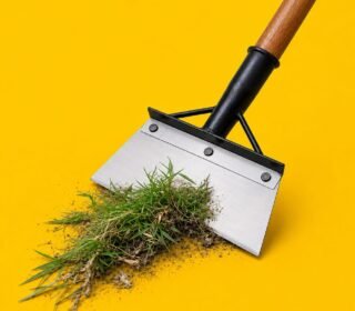 Garden Weeding Hoe Tool with Wooden Handle