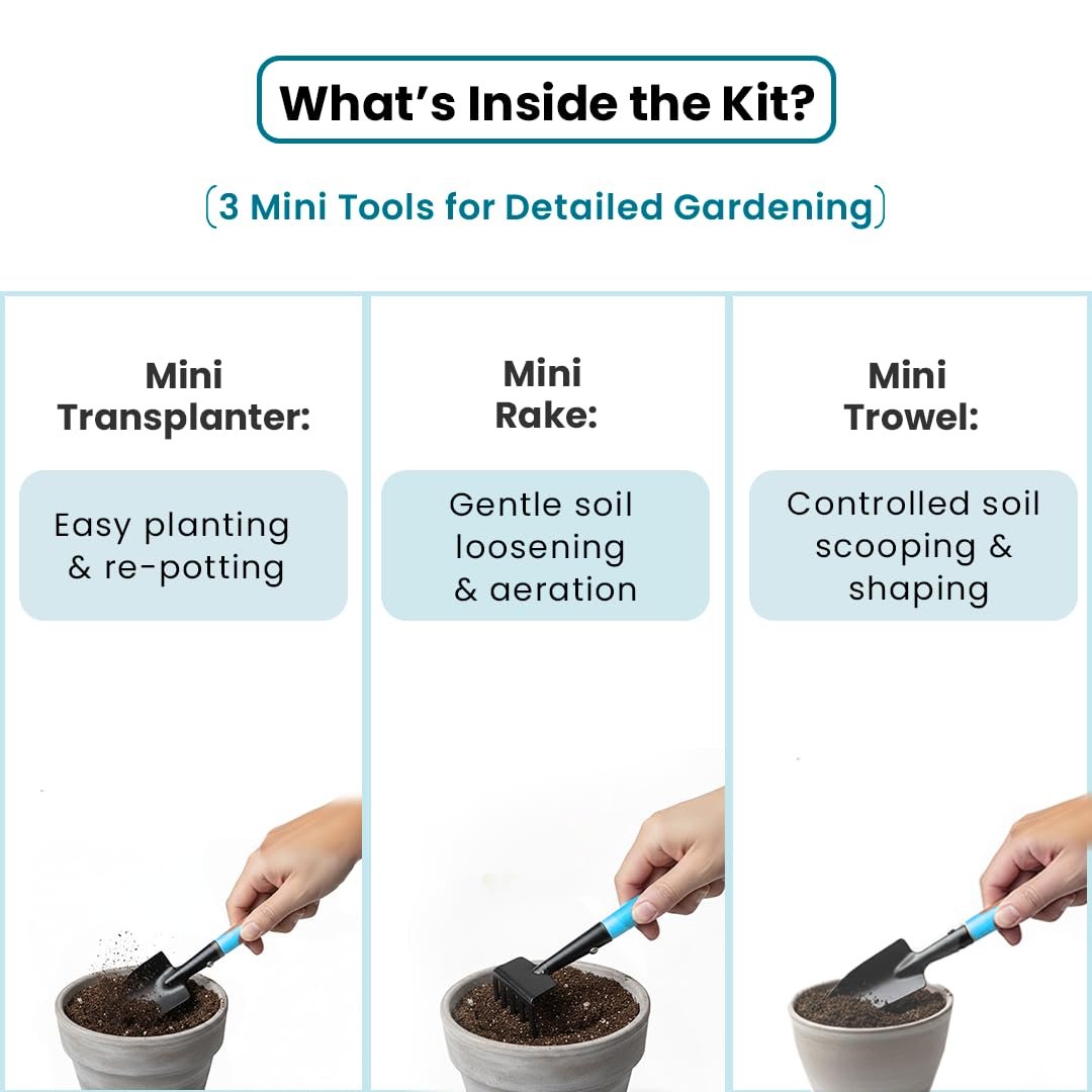 Mini Hand Tool Kit (3-Pc Set) | Mini Trowel, Mini Rake & Mini Cultivator | Compact Gardening Tools for Home & Pots. - Image 3