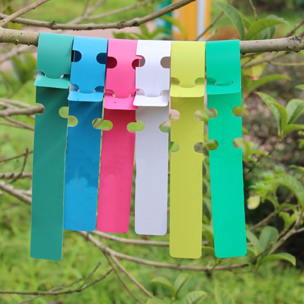 Generic 100pcs PVC Greenhouse Gardening Plant Stake Hanging Collar Tag Label Yellow - Image 9