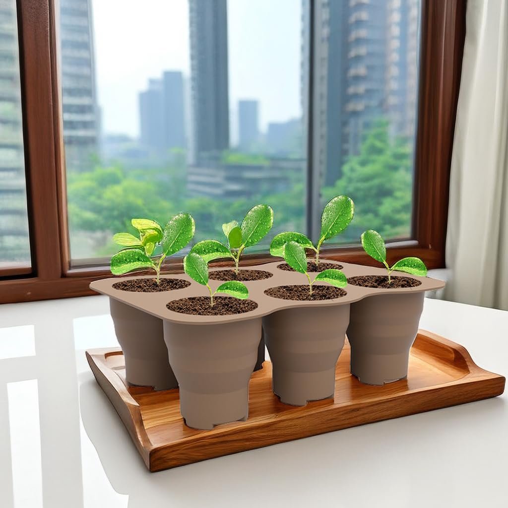 Silicone Seedling Tray, 6 Cell Reusable Germination Starter - Image 7