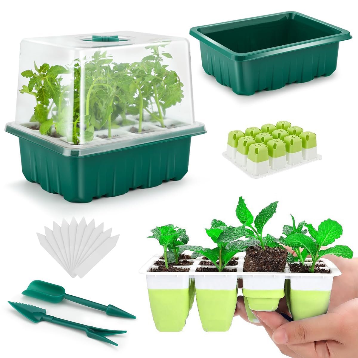 Seed Starter Tray, 12 Pots, 2 Tools, 10 Labels, Clear Lid