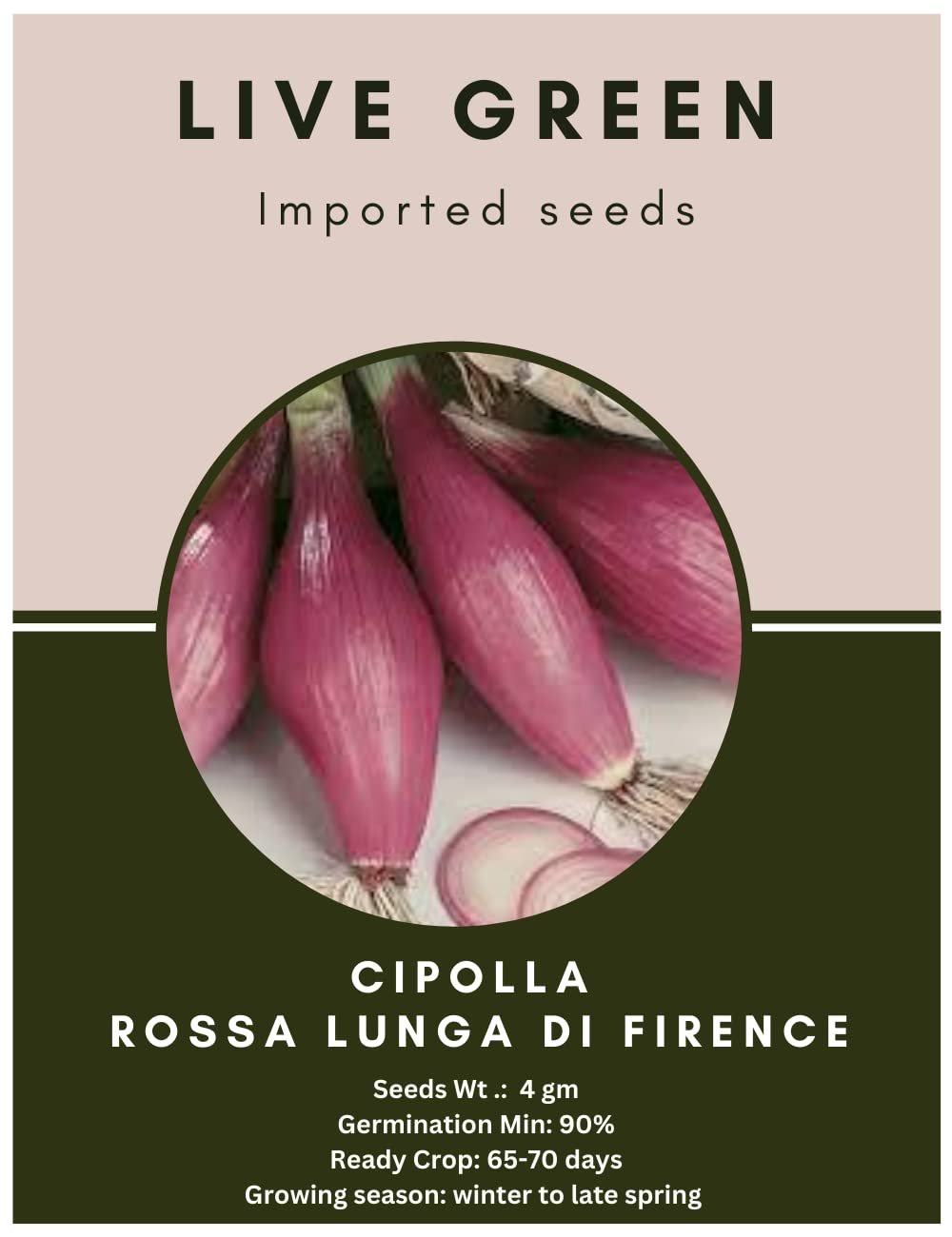 Imported Seeds - Cipolla Rossa Lunga Di Firenze Onion New Variety Vegetable Seeds - Pack of 4gm Seeds