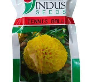 Tennis Ball F1 Hybrid Marigold Yellow Flower Seeds 1000 SEEDS PACK