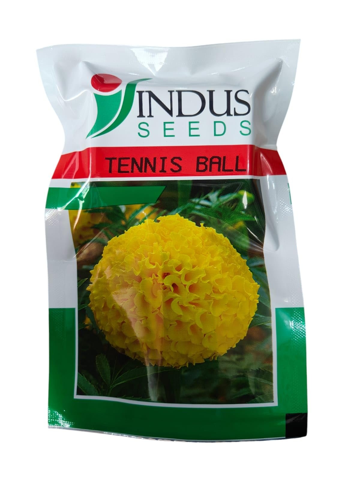 Tennis Ball F1 Hybrid Marigold Yellow Flower Seeds 1000 SEEDS PACK