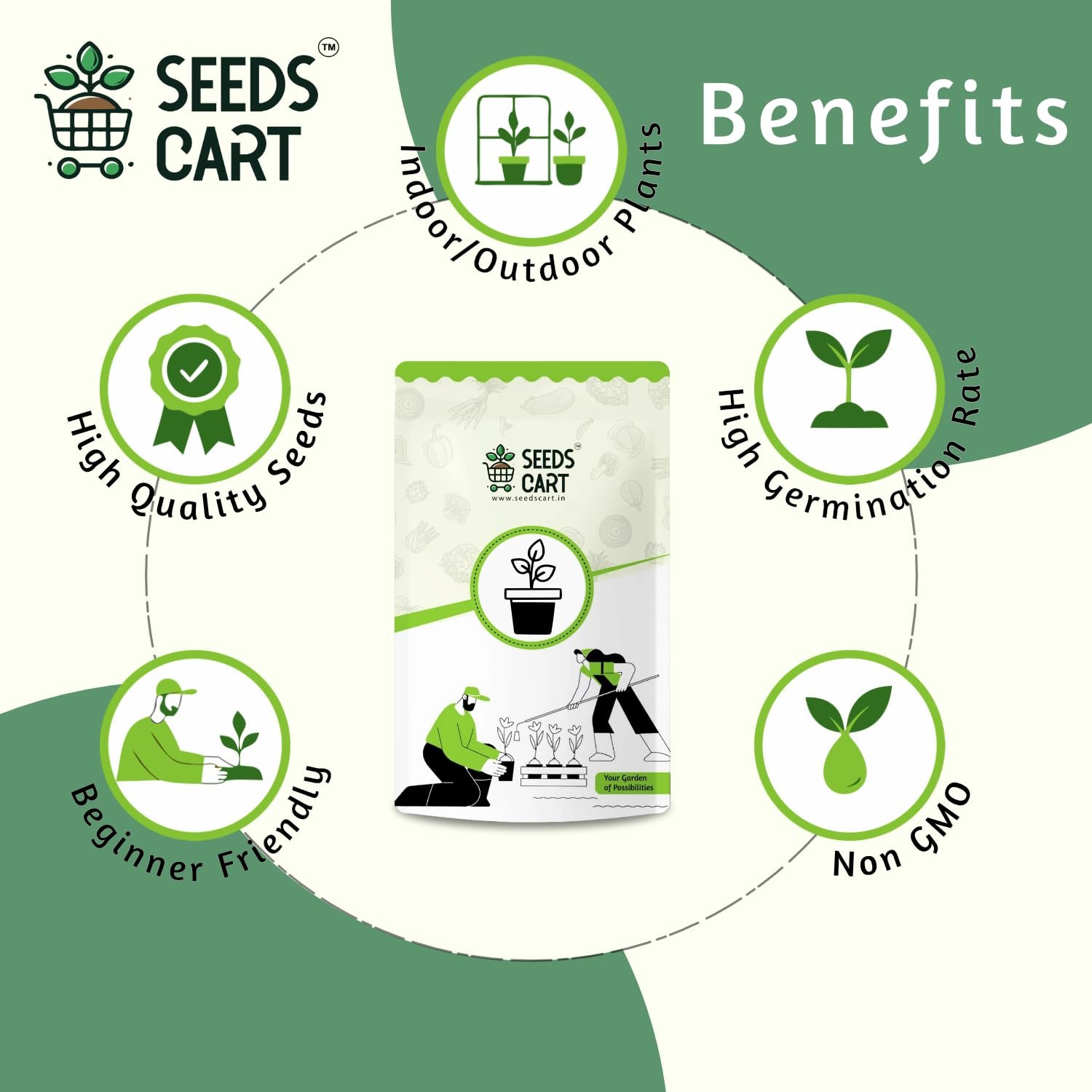 Indian Veggie Garden | Tomato, Chilli, Brinjal, Okra, Beans, Bottle Gourd & Snake Gourd Seeds | Non-Hybrid, Open Pollinated & Non-GMO | 7 Vegetable Seeds for Home, Terrace & Kitchen Garden - Image 3
