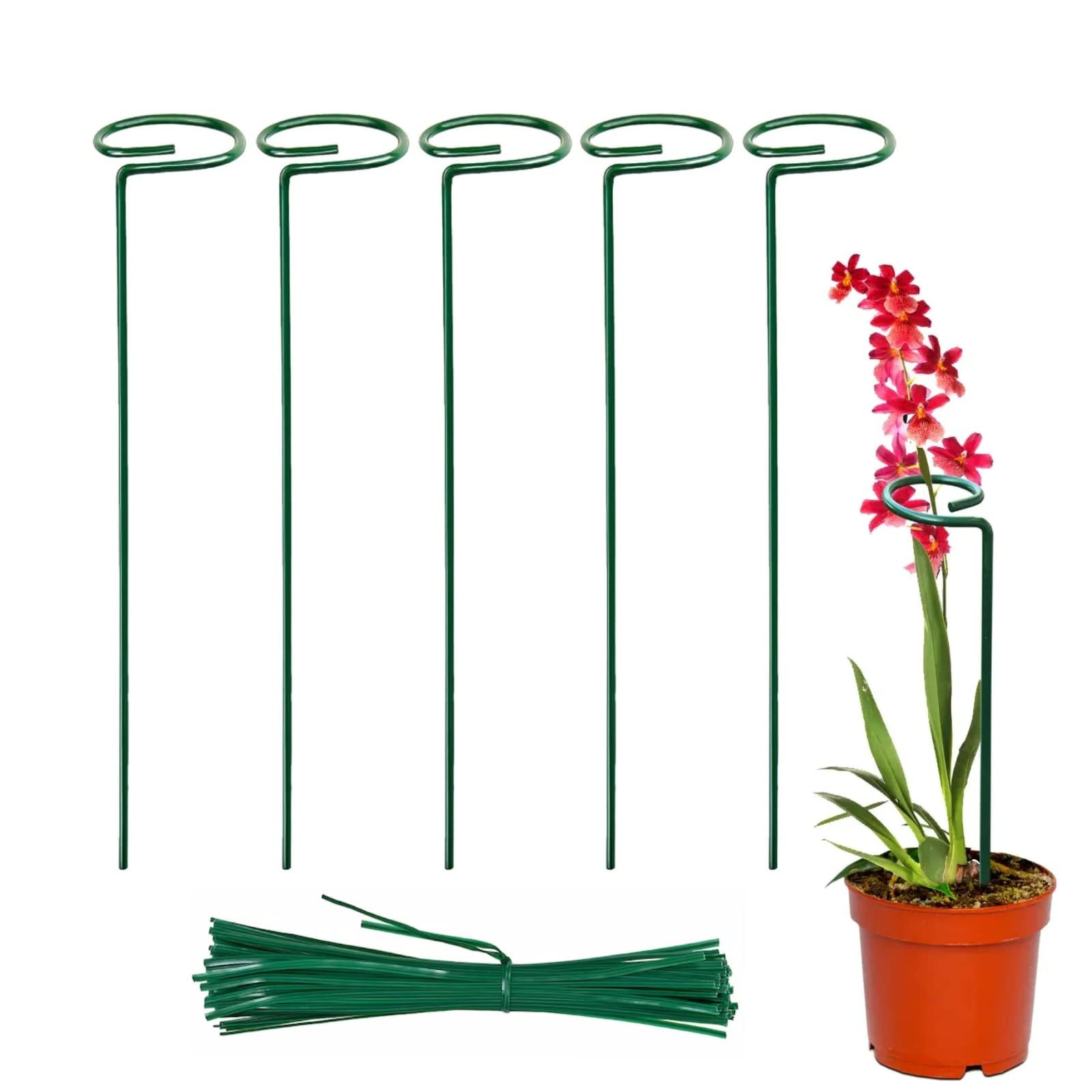 ® 18 Inches Premium Plant Support Stakes, Sturdy Metal Construction for Strong and Healthy Plant Growth (Light Green - 5 pcs)