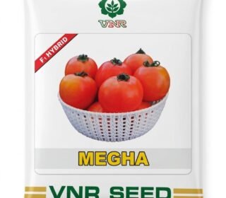Megha F1 Hybrid Tomato Seeds 10g