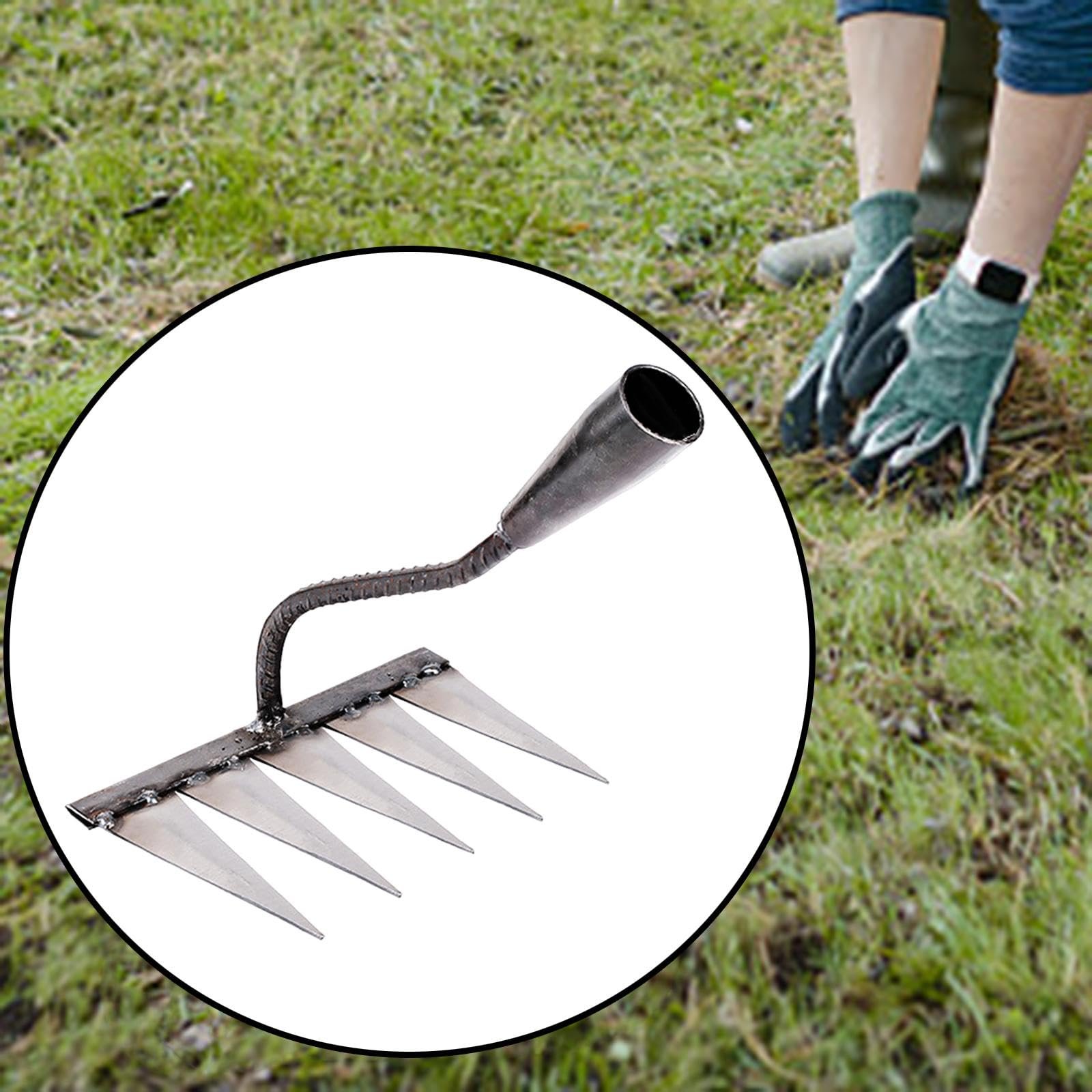 Garden Rake Hardened Strong Sharp Tines Rake for Gardening Mulching Backyard with 5 Tines - Image 6