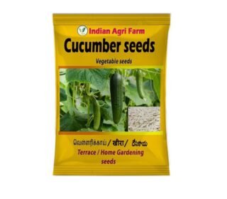 Cucumber Seeds - 200 g (Approx. 8000 Seeds) - Dosakaya - Vellari- Sambar Cucumber Seeds - Gardening & Farming Seeds