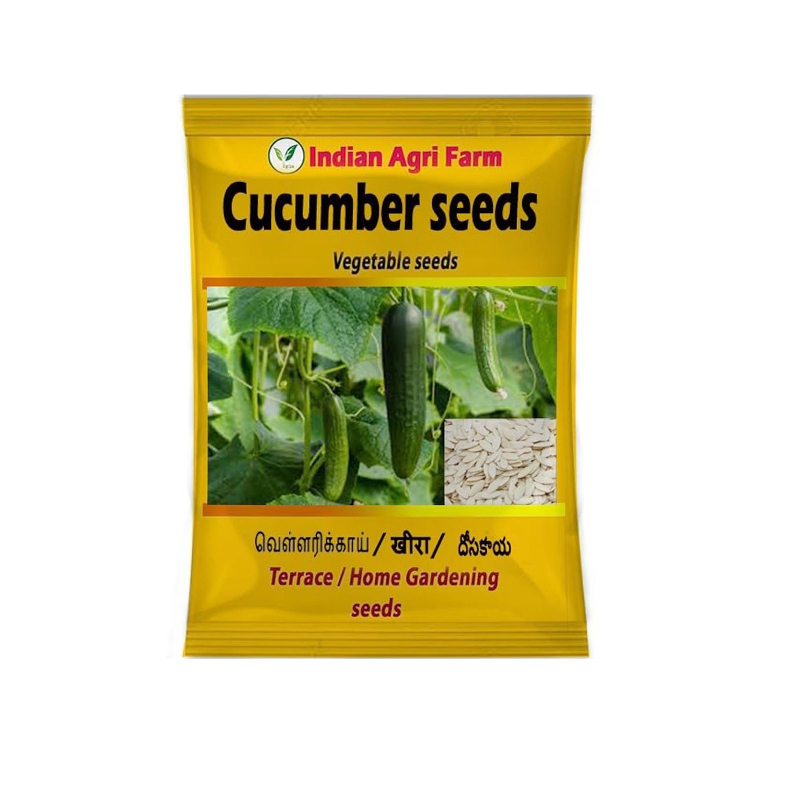 Cucumber Seeds - 200 g (Approx. 8000 Seeds) - Dosakaya - Vellari- Sambar Cucumber Seeds - Gardening & Farming Seeds