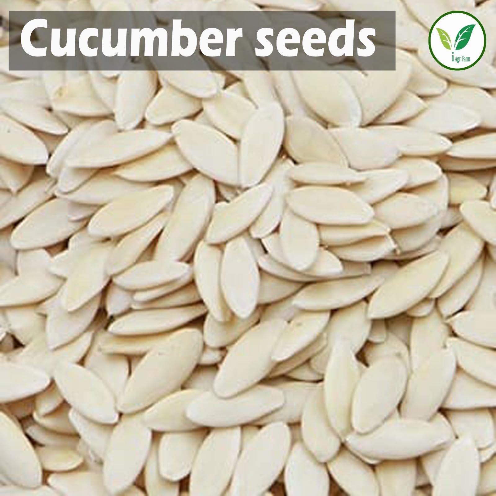 Cucumber Seeds - 200 g (Approx. 8000 Seeds) - Dosakaya - Vellari- Sambar Cucumber Seeds - Gardening & Farming Seeds - Image 3