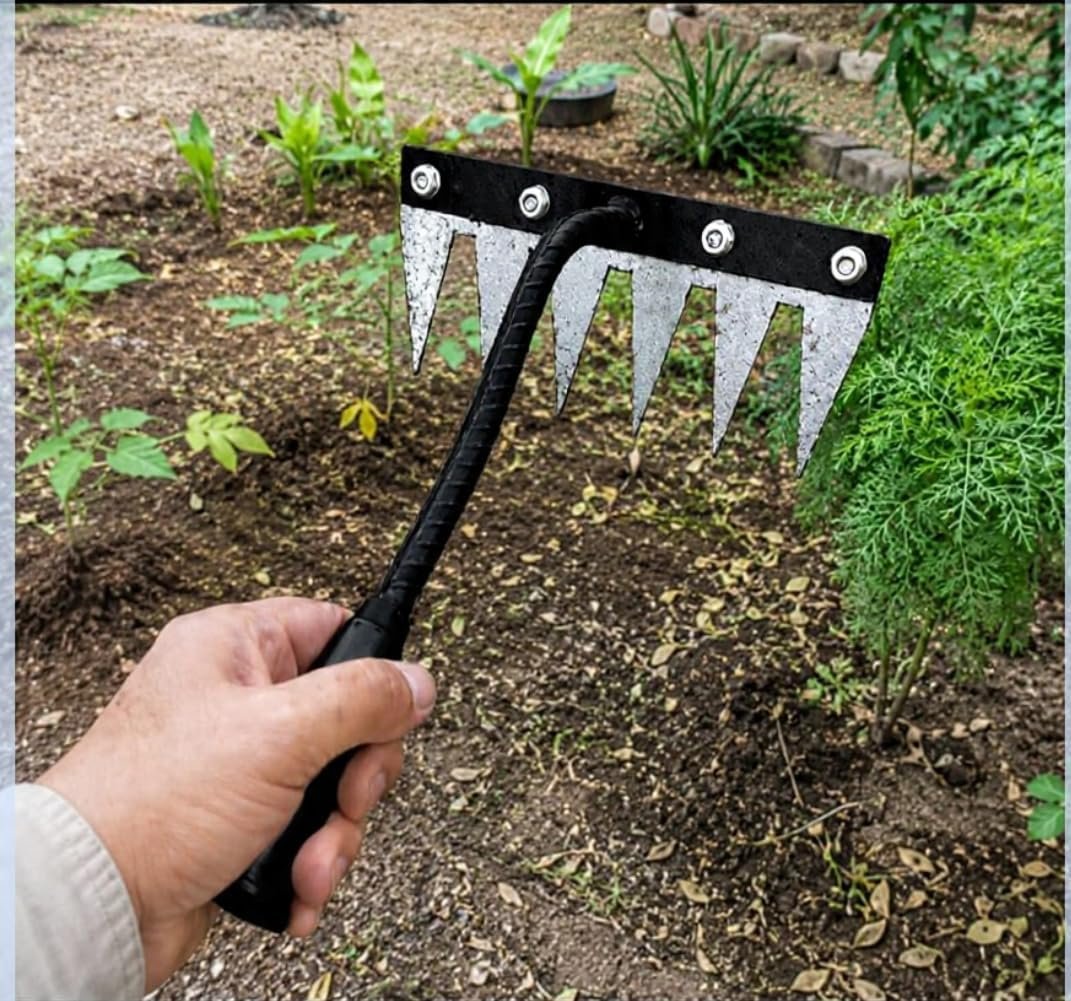 6 Teeth Garden Rake Heavy Duty Carbon Steel Rake Handle for Soil Loosening, Weeding, Lawn & Yard Cleaning – Multipurpose Outdoor Gardening Tool for Home Farm & Agricultural Use - Image 2
