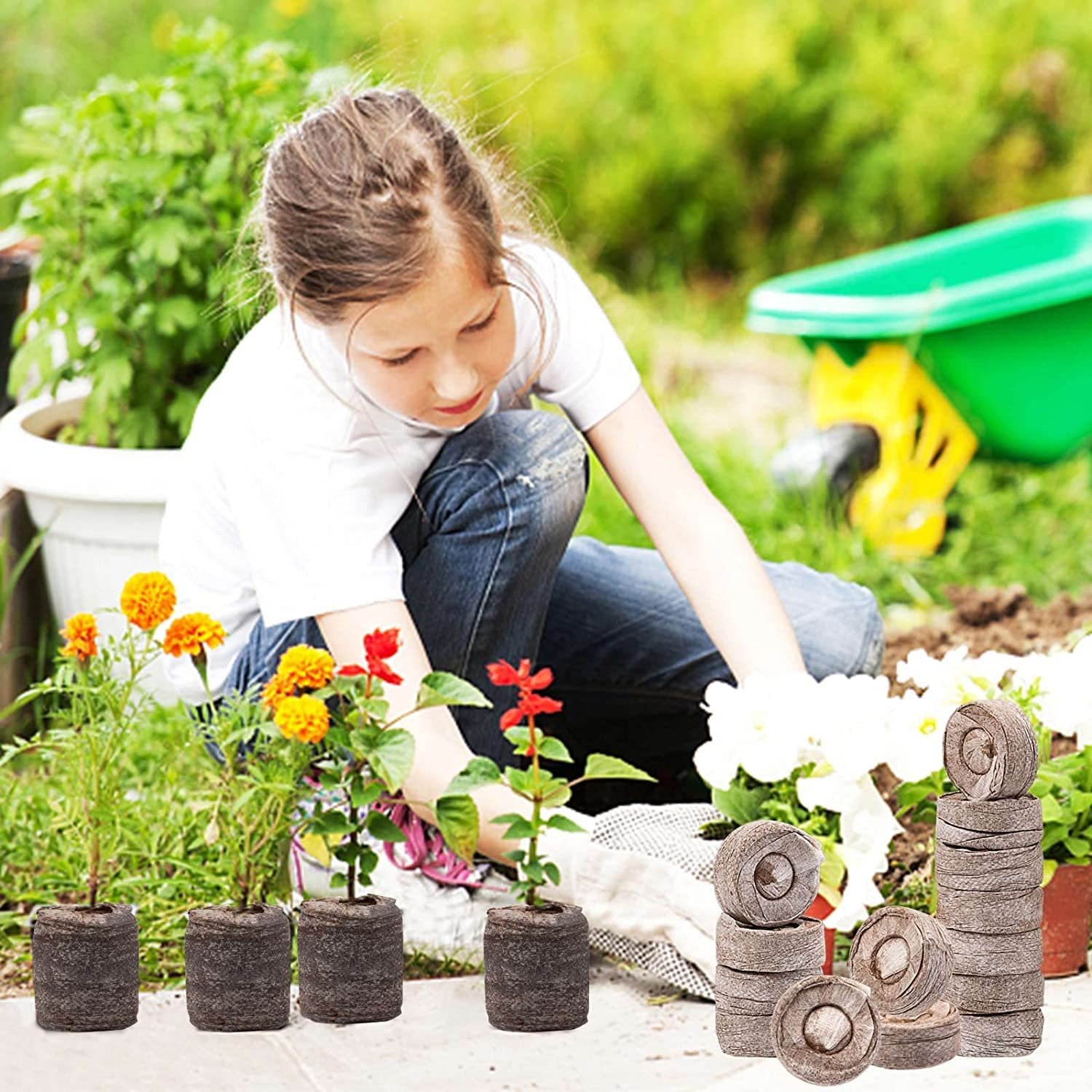 10 Pcs Peat Pellets for Seedlings, Seed Starting Pellets Compressed Nutrient Fertilizer Fiber Soil Block, Seed Starter Plugs Seedling Starter Soil for Plant Seedling. (Pack of 10 pcs) - Image 2