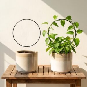 Metal Garden Trellis for Climbing Plants, Round Shape Plant Support Stake, Single Stem Flower Support Frame for Vines, Indoor Outdoor Garden Decor, Easy Install Support Stand (Pack 2, Black)