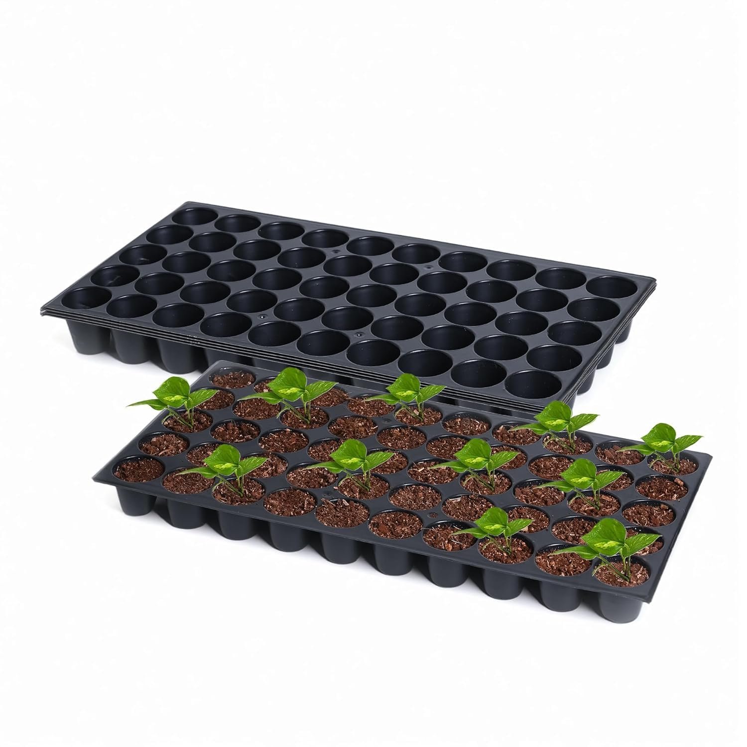SJ Organics Seedling Tray for Seed Germination - Pack of 10 (50 Cells Each) | Reusable Plastic Nursery Tray for Indoor Gardening & Microgreens - Image 2