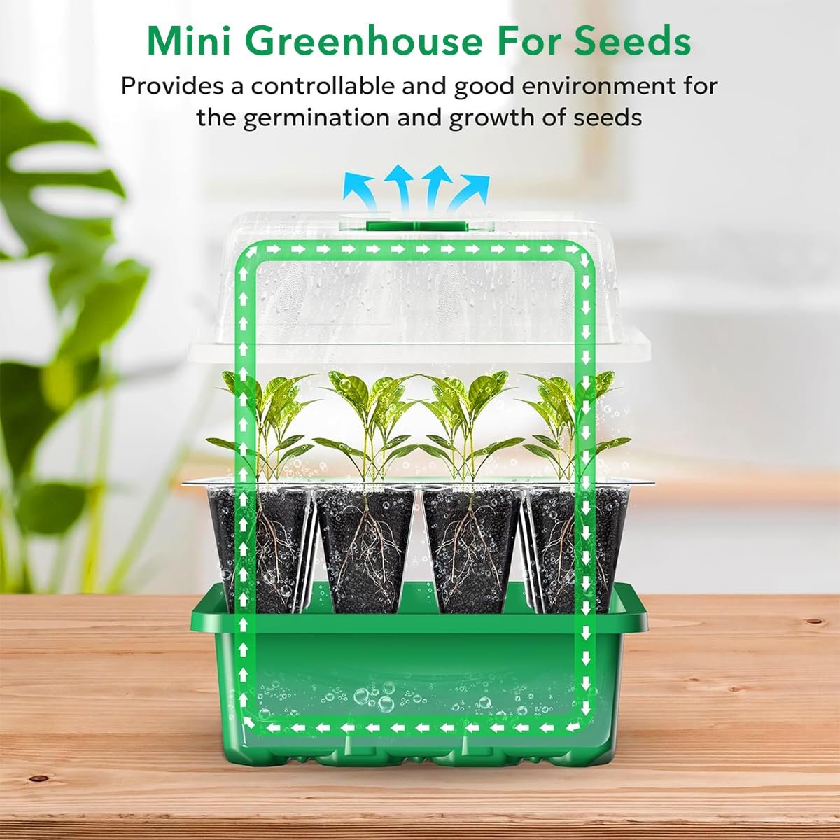 12-Cell Seedling Trays for Plants, Germination Kit, 5 Pcs - Image 4
