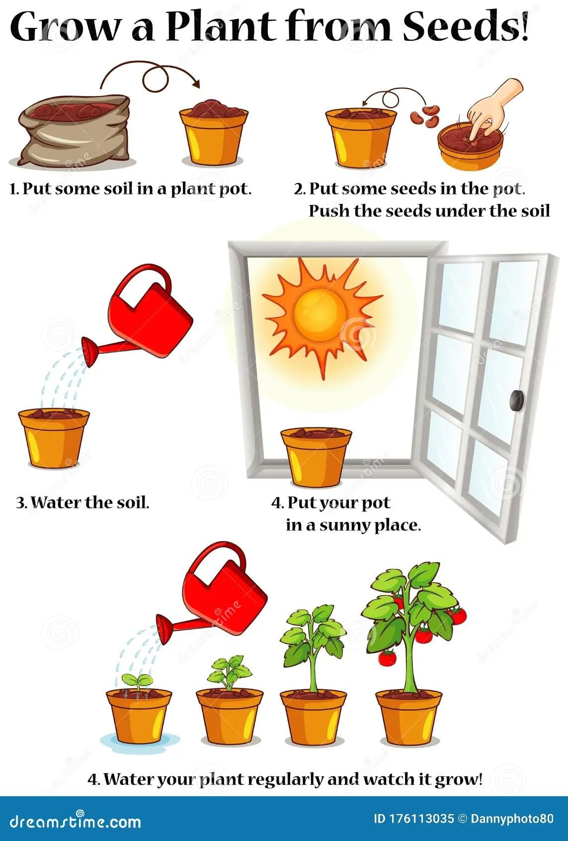Low Maintenance Hybrid Flower Seeds Combo Pack- All Year Flower Seeds Supply (MARIGOLD 3 VARIETIES) - Image 9