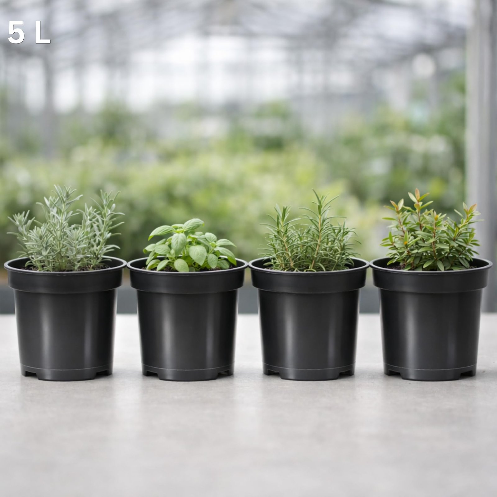 Black Plastic Plant Pots 0.5L 1L 2L 5L 7.5L 10L 12L 15L – Flower, Nursery & Growing Containers, Reinforced Rim, Extra Drainage – Multi Pack 1–200 (5L, Pack of 10) - Image 4