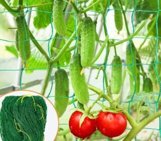 WNE Jaliwale Creeper Net & Plant Support Trellis Netting Plant Climbing Net for Flower Fruits Vegetables Tomato Plants Green Colour 6ft x 9ft