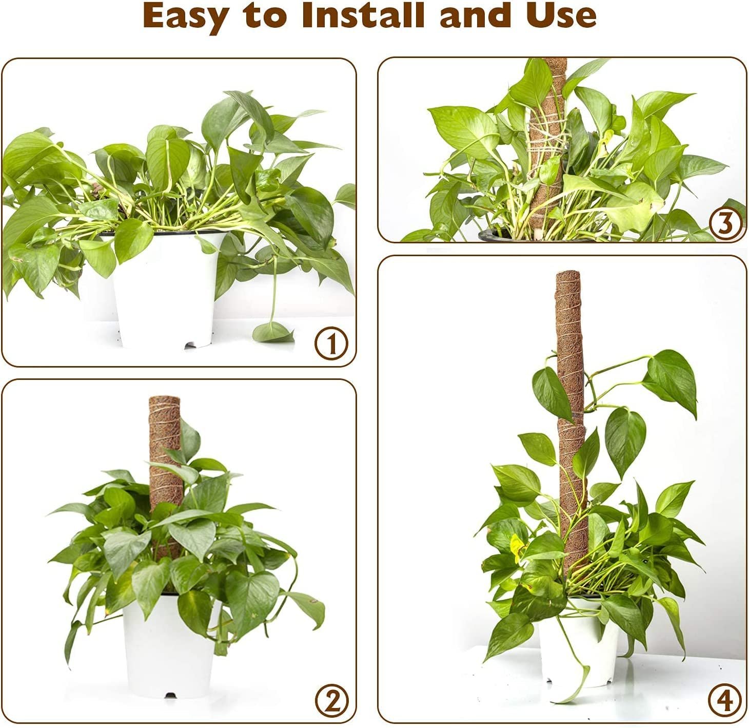 Pack of 6 Moss Stick,Coir Pole 45cm Tall for Plants Monstera, Coco Coir Moss Poles for Climbing Plants- Plant Support Extension to Grow Upwards (Pack of 6) GACP-45 - Image 4
