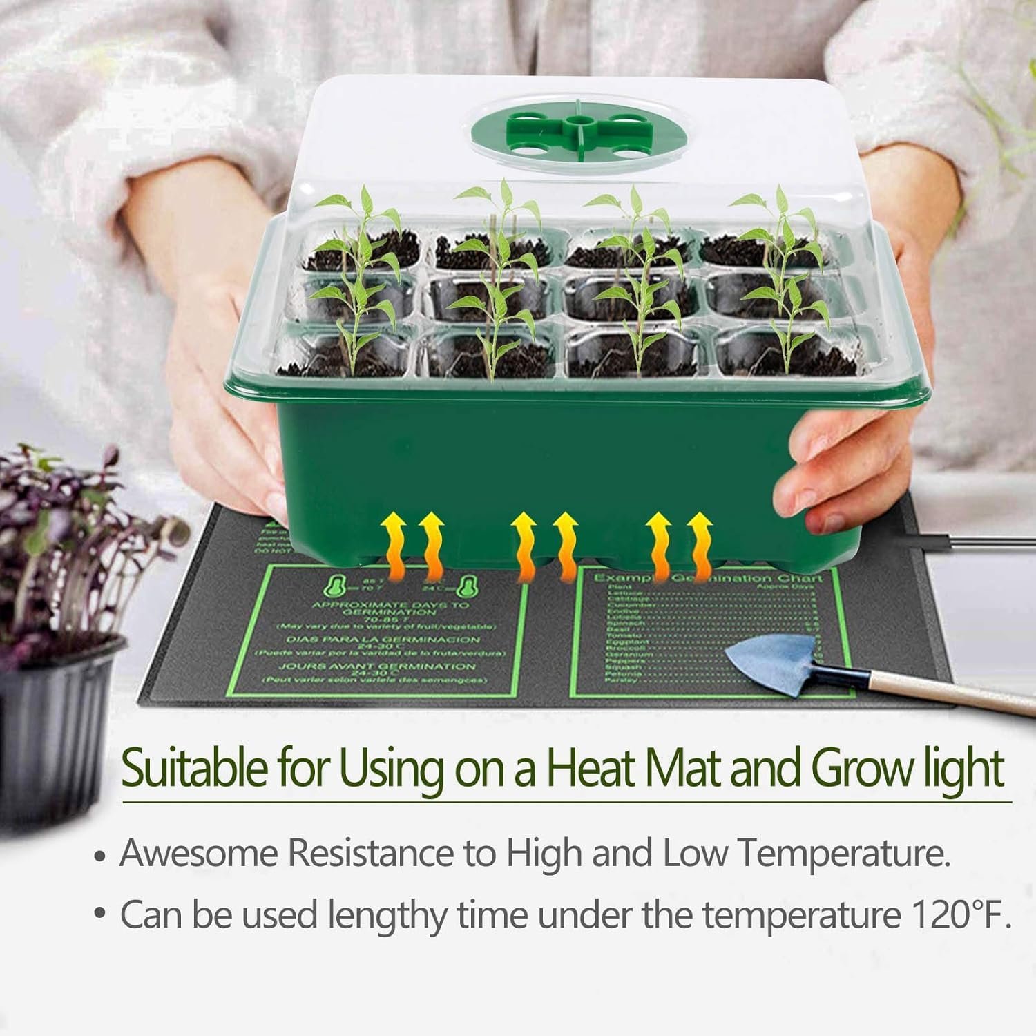 Seed Starter Tray, 6 Set Seedling Kits with Adjustable Humidity Dome, Plant Starter Kit for Seeds Growing Starting (12 Cells per Tray) - Image 4