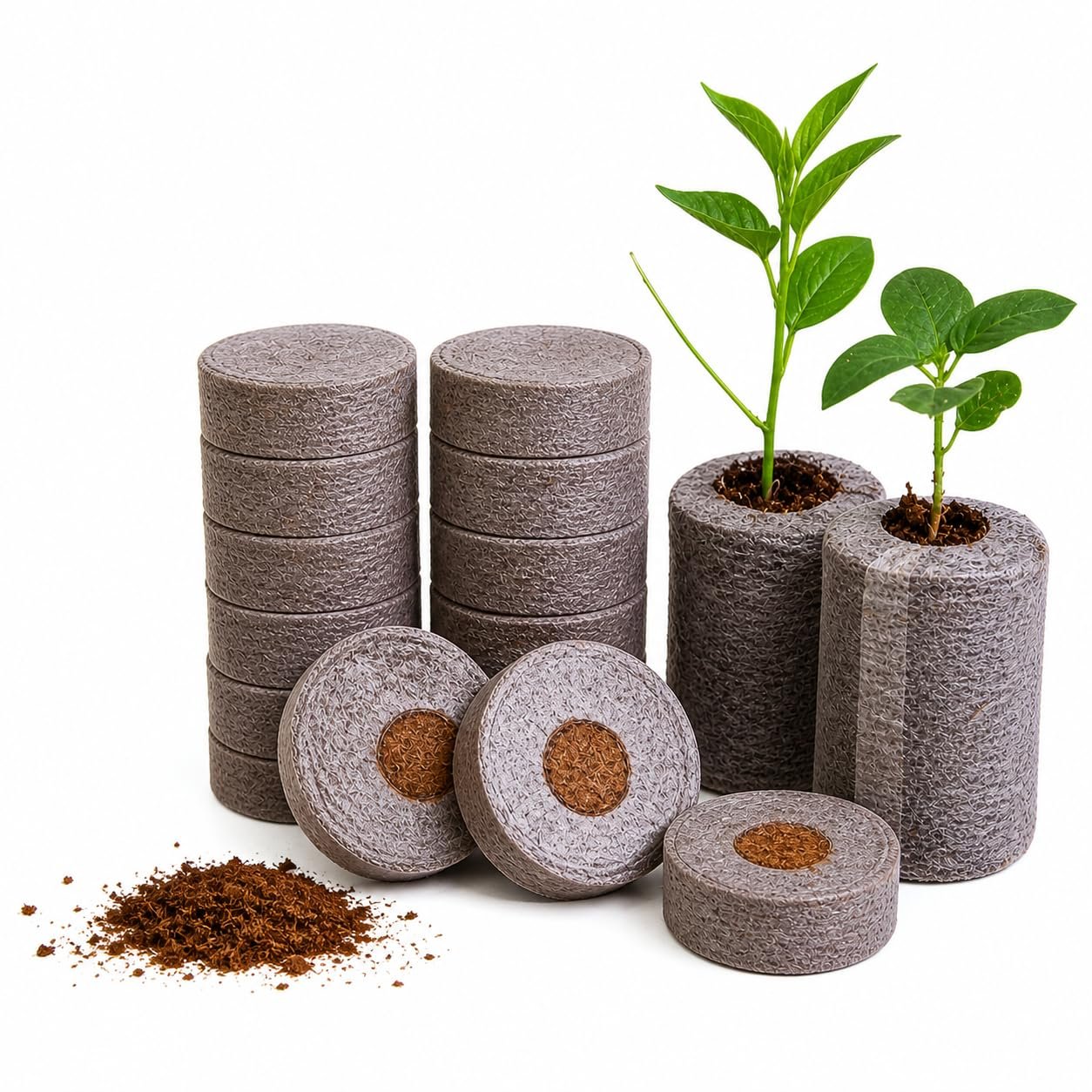 Cocopeat Seed Germination Kit | Coir Coin for Gardening Seedling | Kit for Strong Root Growth |Size 4cmx1cm | Coco Peat Disc for Plants | Netted |Round (Pack of 50)