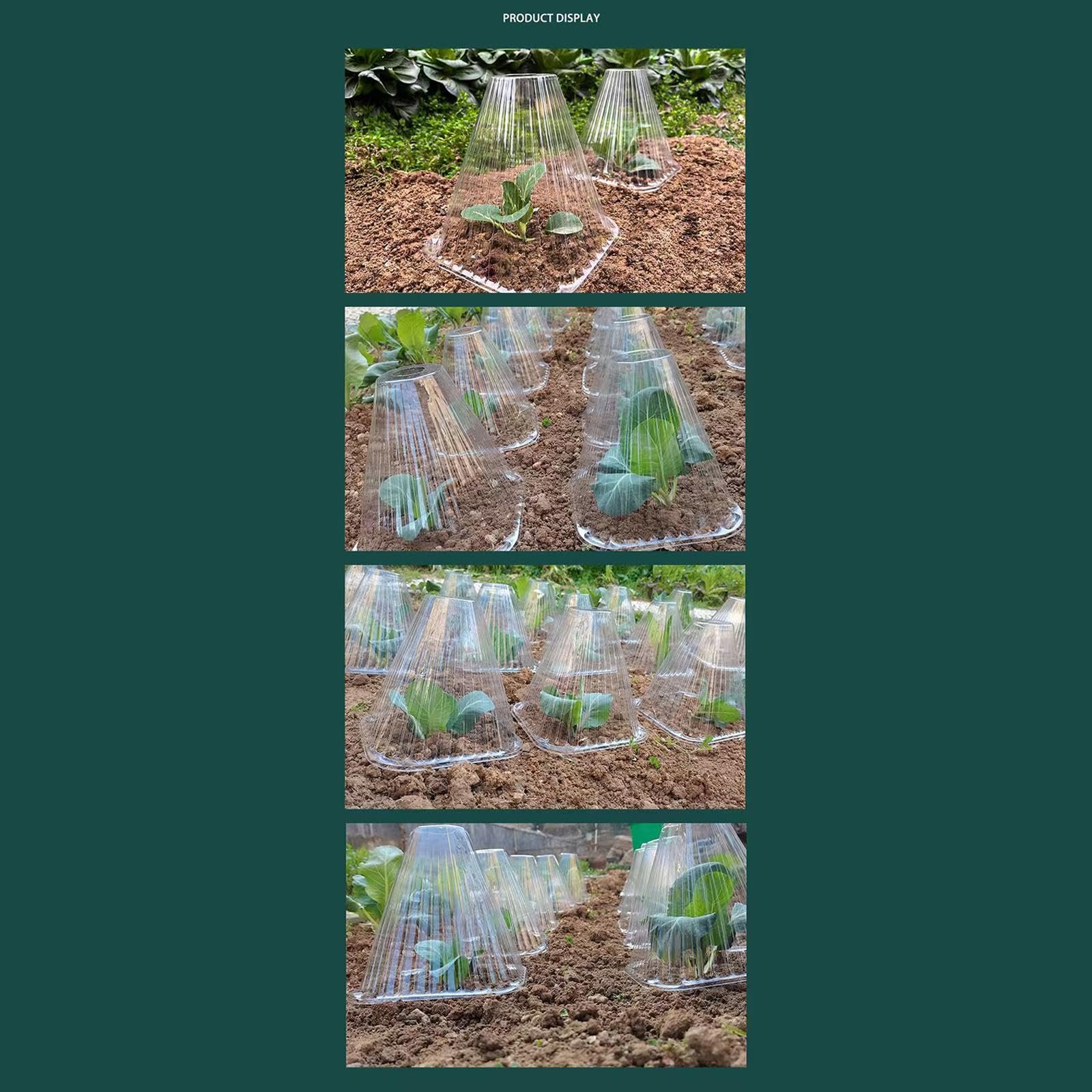 Garden Cloches for Plants Mini Greenhouse Outdoor Reusable Bell Plant Covers 15cmx15cmx4.5cm 10pcs - Image 7