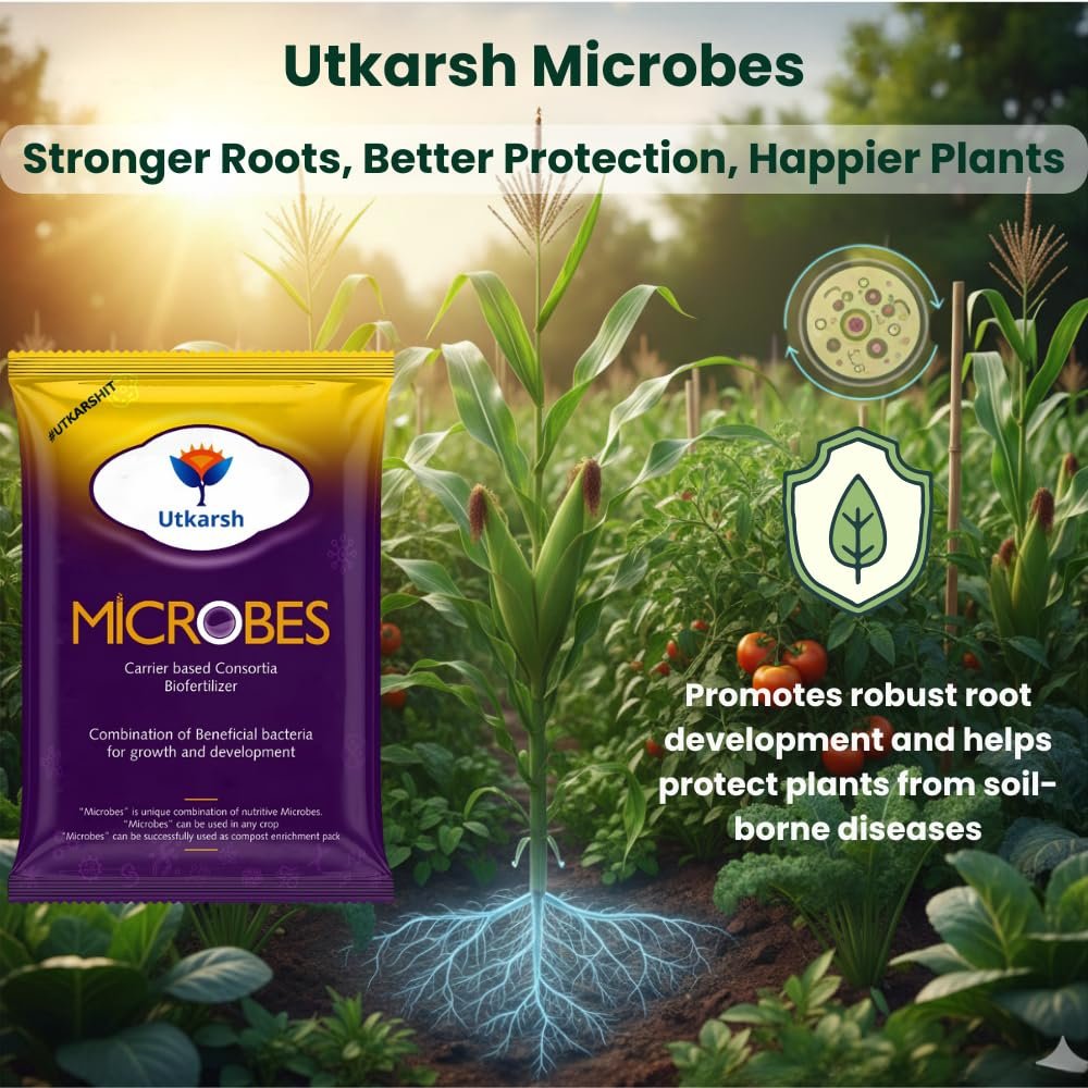 Utkarsh Microbes (Carrier Based Consortia Biofertilizer - Azotobacter, Acetobacter, Rhizobium, Phosphorus Solubilizing Bacteria PSB, Potassium Mobilizing Bacteria KMB) (900 gm; Pack of 1) - Image 3