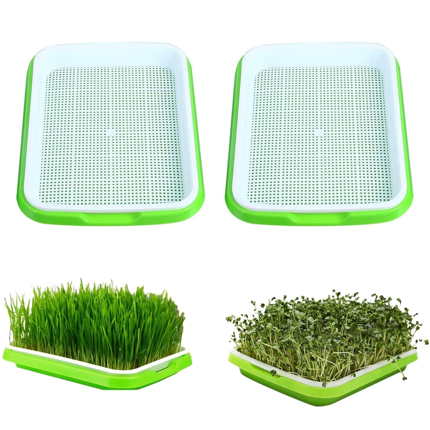 Seed Sprouter Tray Without Lid Microgreens Growing Trays Sprouts Growing Kit Propagation Trays Healthy Wheatgrass Grower Storage Sprouting Tray for Garden Home Office (2PCS)