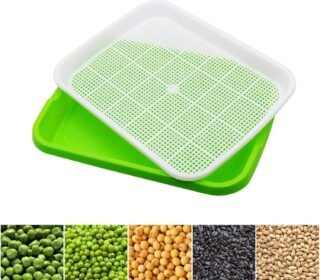 Seed Sprouter Tray Without Lid Microgreens Growing Trays Sprouts Growing Kit Propagation Trays Healthy Wheatgrass Grower Storage Sprouting Tray for Garden Home Office (1PCS)