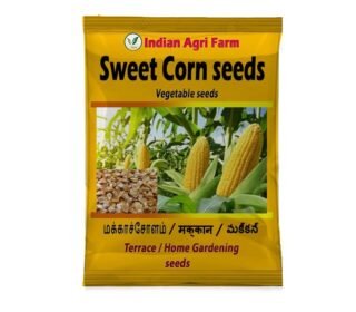Sweet Corn Seed (Meetha Makka Seeds) -100 gram (Approx. 850 Seeds) - Yellow colour