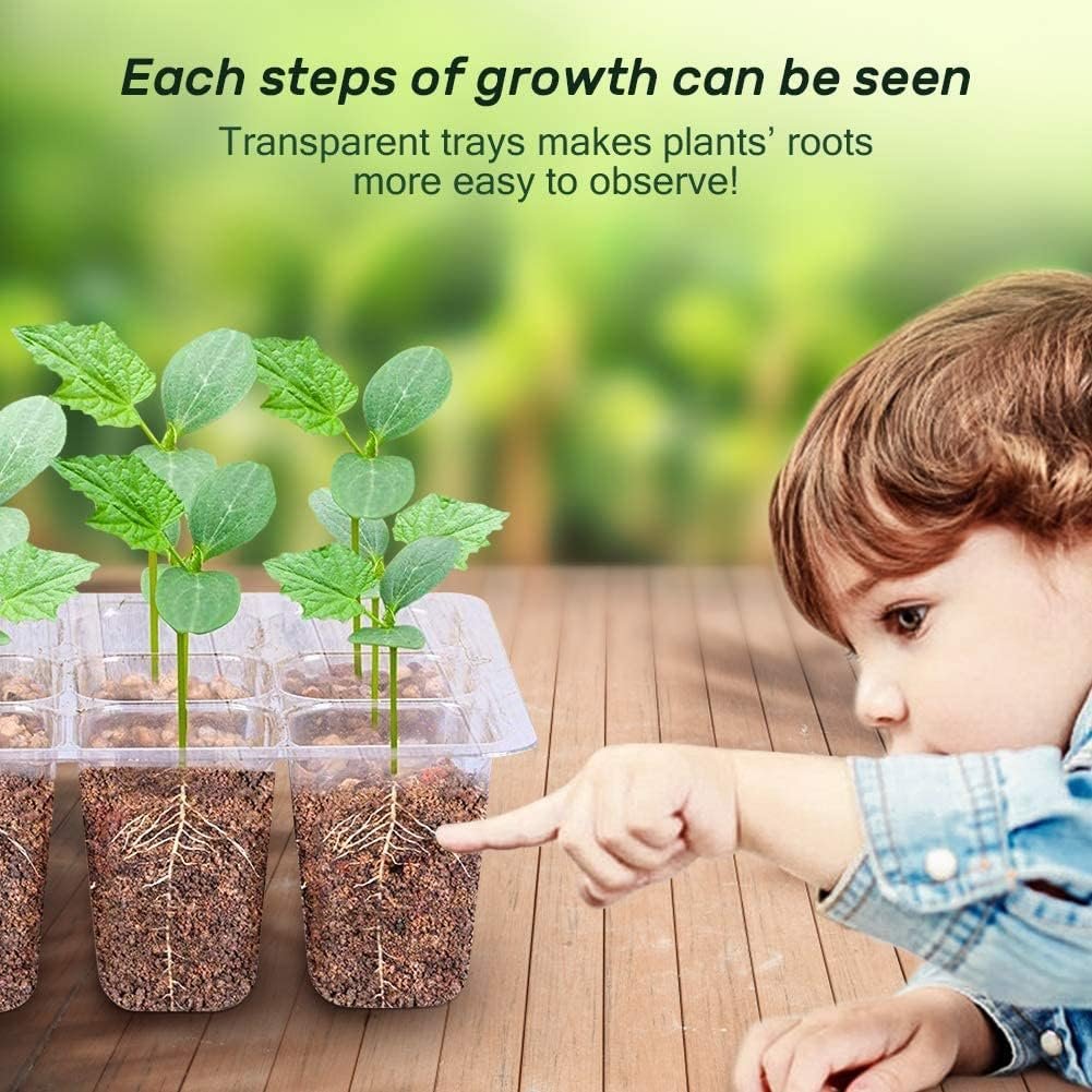 ® Seed Starter Tray Seedling Starter Kits, Plant Starter Kit with Humidity Domes and Base Indoor Greenhouse Mini Propagator Station for Seeds Growing Starting (12 Cells per Tray) (Pack of 1) - Image 3