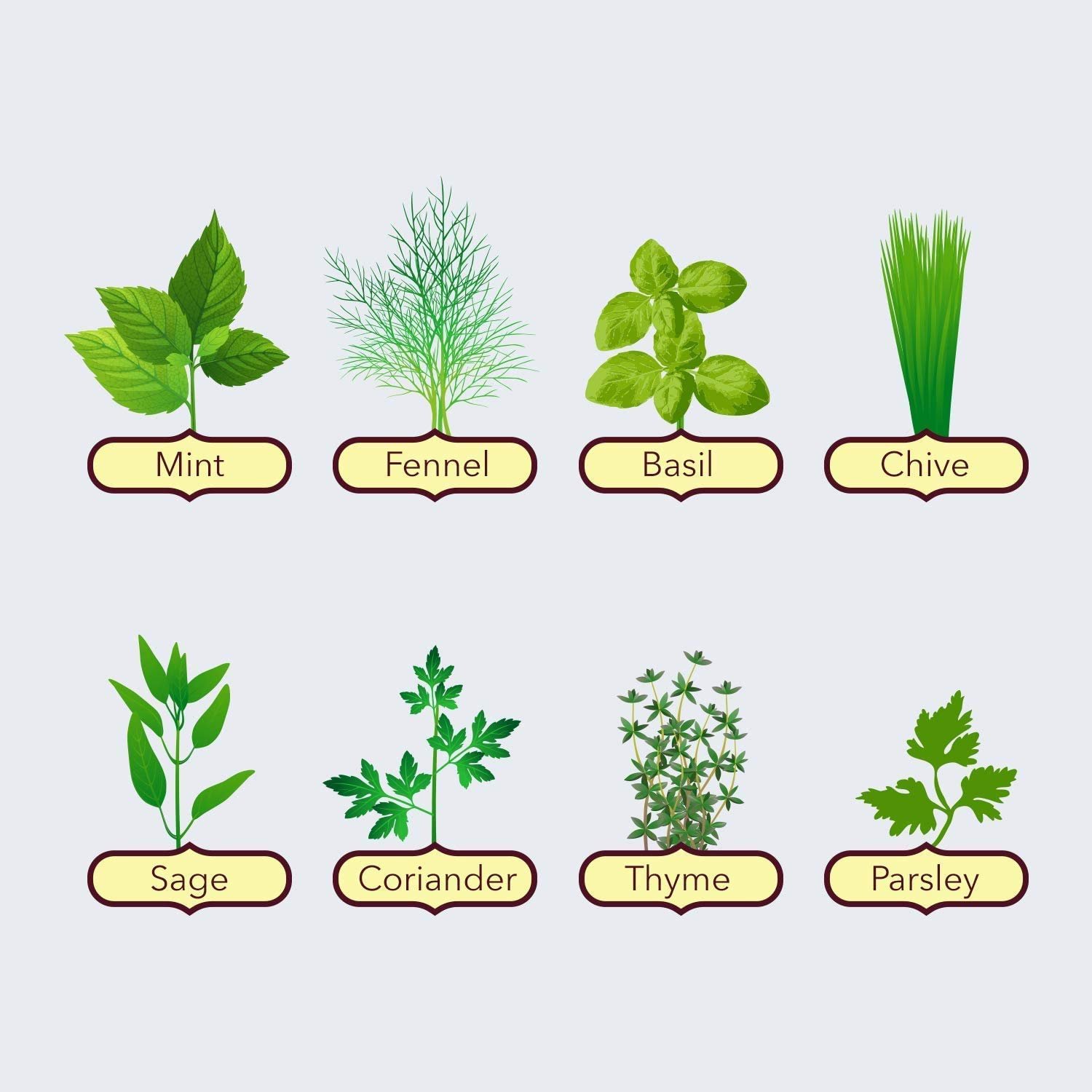GROW YOUR OWN GARDENING KIT - Easily grow your own plants with our complete starter starter kit for beginners (8 herb kit) - Image 3