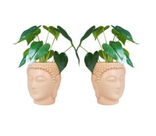 Buddha Pot Plastic Flower Pot | Indoor and Outdoor Use | Elegant Home Decor | Ideal Gift for Plant Enthusiasts | Create Your Garden Oasis Today! (Budhha Pot, Set of 2)