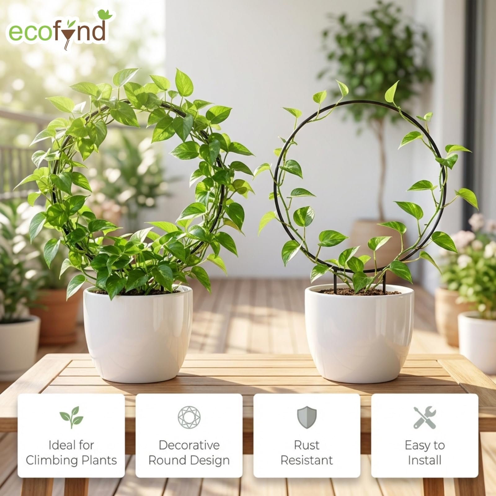 Metal Garden Trellis for Climbing Plants, Round Shape Plant Support Stake, Single Stem Flower Support Frame for Vines, Indoor Outdoor Garden Decor, Easy Install Support Stand (Pack 2, Black) - Image 4