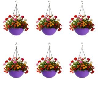 Eden's Space - 10 Inch Plastic Hanging Planters with Metal Chain | Indoor & Outdoor Hanging Pots for Plants | Hanging Flower Pots for Balcony, Garden Decoration (Violet, Pack of 6)