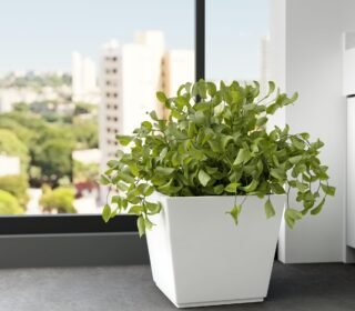 Foxb Gk 16 Inch Pots for Plants Highly Durable Polymers Lightweight Indoor Outdoor Plant Pots, Flower Pot Gamla Tree Planter Planters for Living Room, Balcony, Garden, White